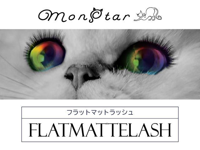 ルルドフェイスメイク プラズマエステブラシ | 化粧品・アイラッシュ商